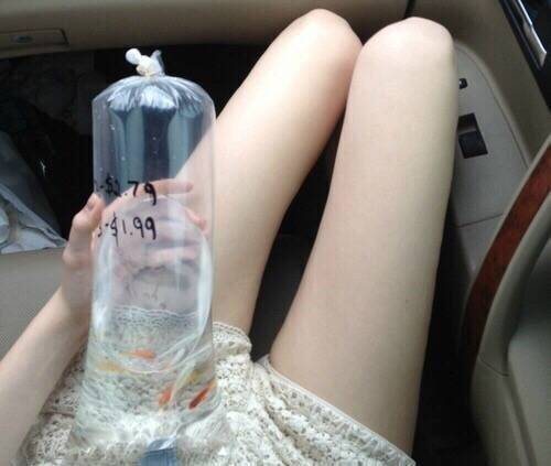 唯美好看的小细腿女生图片