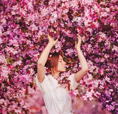 樱花图片唯美图片壁纸