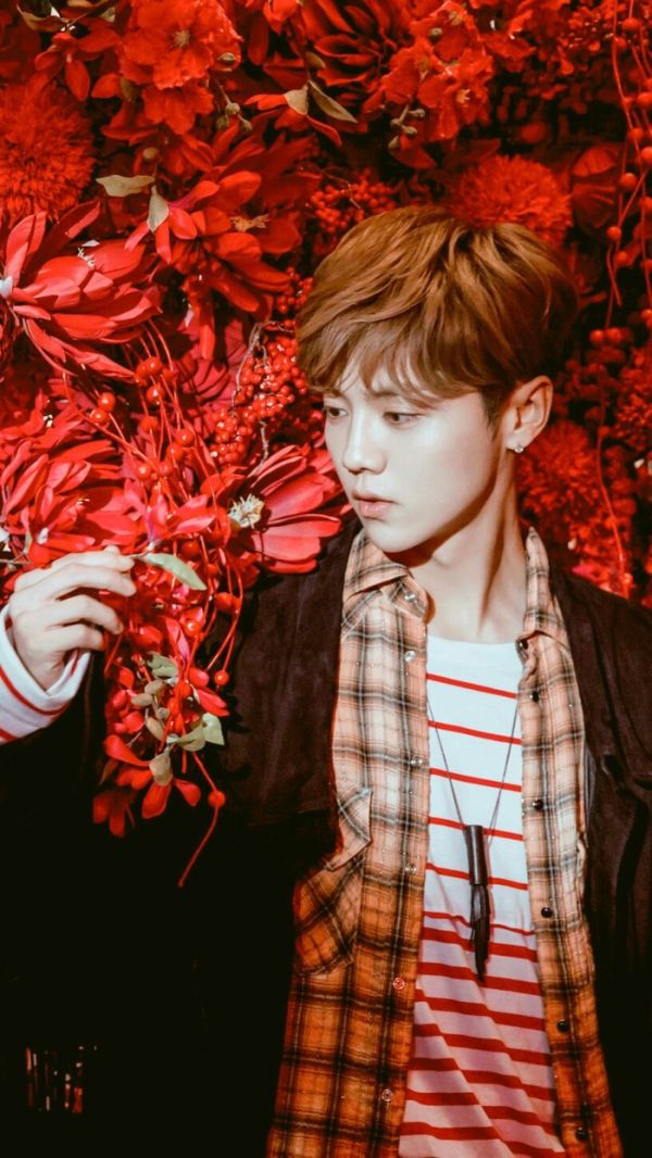 鹿晗正脸最帅图片 鹿晗的图片最帅的照片