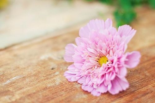 最伤感最心酸的个性签名_曾经的过去了不会再奢求了