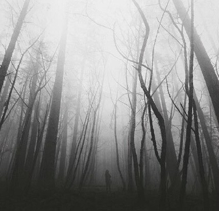 2017最伤感的个性签名_究竟要多久才会将你忘个彻底