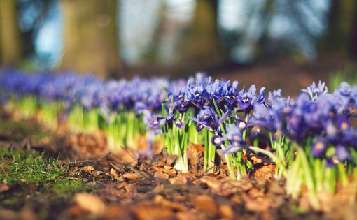 60句非常有个性的微信签名