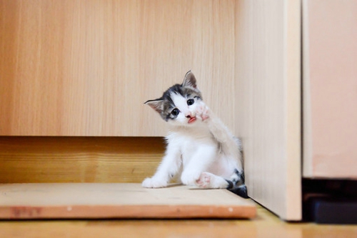 60句非常有个性的微信签名