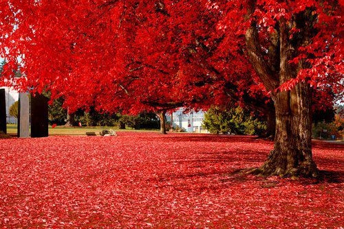 2017最具个性的微信签名_我懂你的身不由己