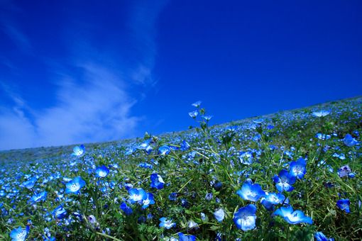 2017最具个性的微信签名_我懂你的身不由己