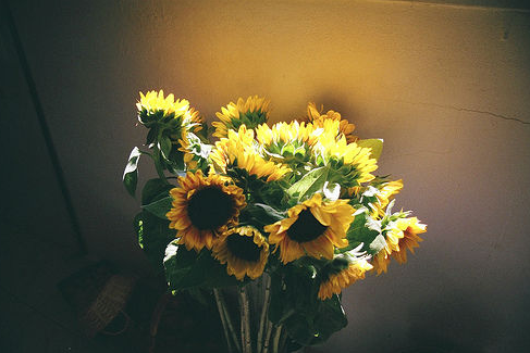 简单有个性的微信签名大全男生_何处西南待好风