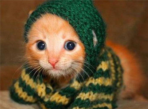 最犀利的男生霸气个性签名_人活着就是为了自取其辱