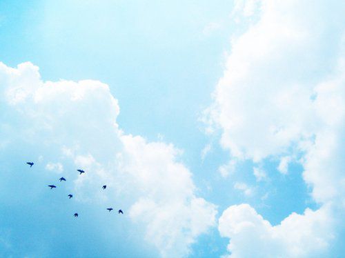 心情不好的扣扣个性签名_多一点爱就多一点疲惫