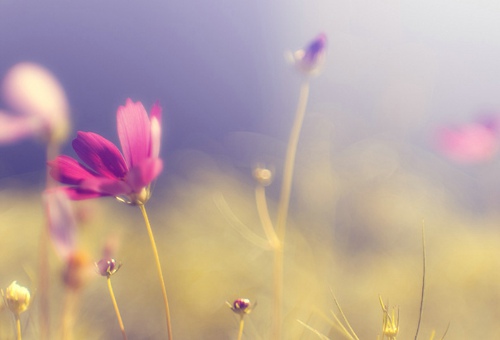 好听有个性的陌陌女生签名_习惯反复听一首歌