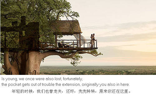 微信一句话经典英文签名_Taylor swift 大爱