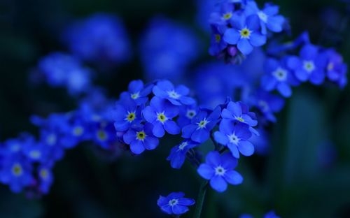 女生阳光励志个性签名_只有全力以赴梦想才能起飞