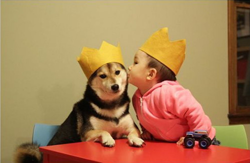 微信个性签名女生励志_认准了就不要放弃