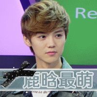 关于鹿晗的头像有鹿晗两个字