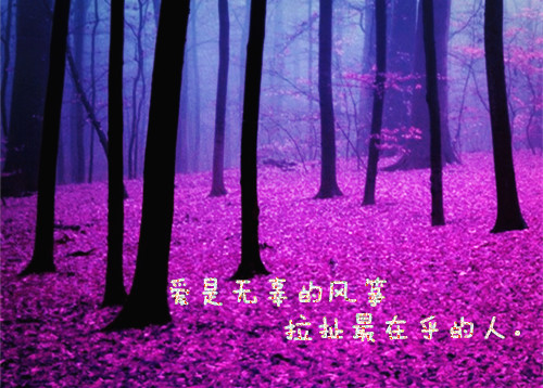 伤感成熟女生签名 原来是一散就一世