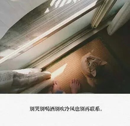 女生成熟坚强点的个性签名 人就要像向日葵一样微笑坚强