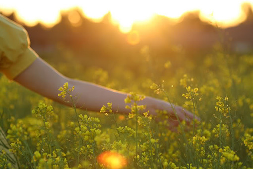 坚强久了的想哭的个性签名 如果不坚强软弱给谁看