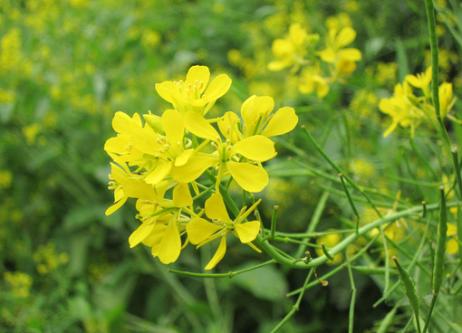 女人要坚强的个性签名 女孩要坚强坚强为自己