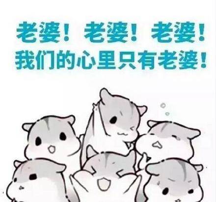 老婆我只疼你的搞笑图片 我的心里只有老婆