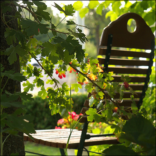 微信经典励志签名精选