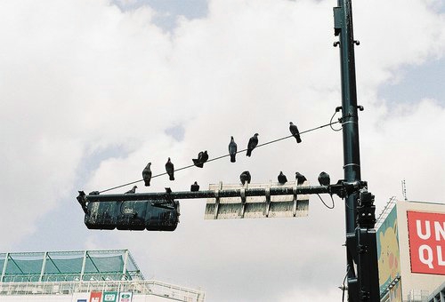 催人向上的qq励志签名