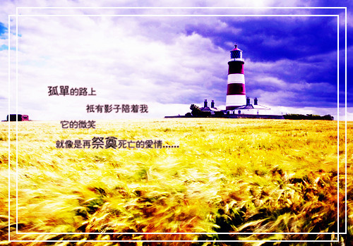 男生qq个性签名伤感 贱了自己也贱了流年