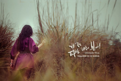 男生qq个性签名伤感 贱了自己也贱了流年