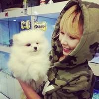 潮流女生头像韩国 潮流图片女生头像