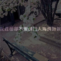 姓氏伤感文字头像女生 qq姓氏文字头像