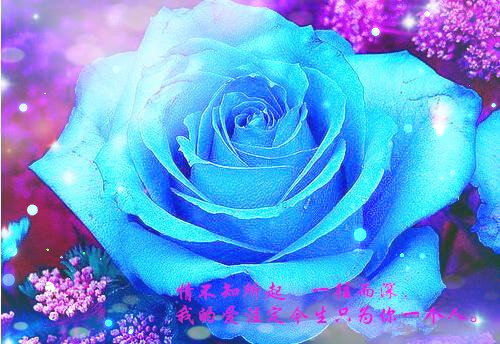 微信充满正能量的签名_笑对生活