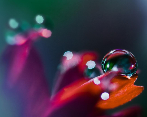 微信签名励志语句_学问勤中得富裕俭中来