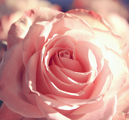 霸气个性签名女生_总有一天我会光芒万丈