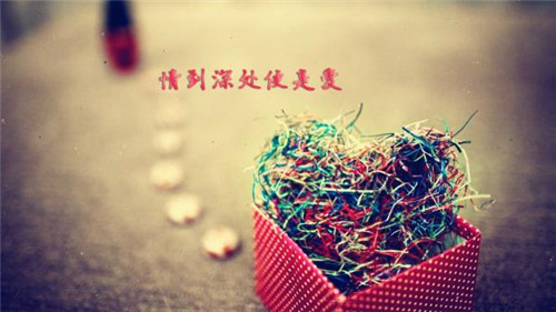 超拽霸气个性签名女生_我是女汉子我怕谁