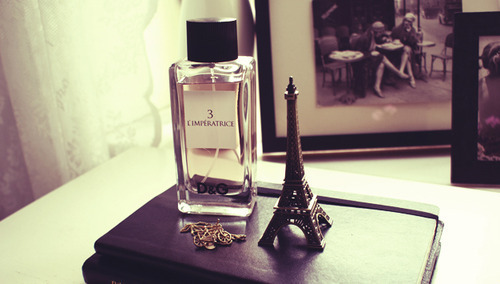 女生单身霸气个性签名_你若三心二意我便逢场作戏