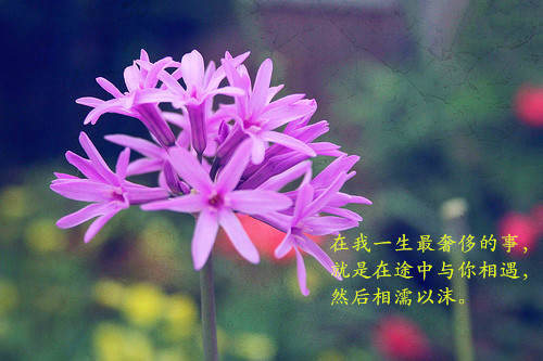 非主流女生个性签名霸气_错爱一人而寂寞一生