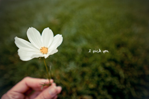 扣扣伤感个性签名_幼稚过的青春才完美