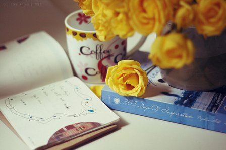 学会坚强才行的扣扣个性签名