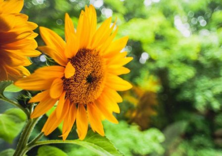 学会坚强才行的扣扣个性签名