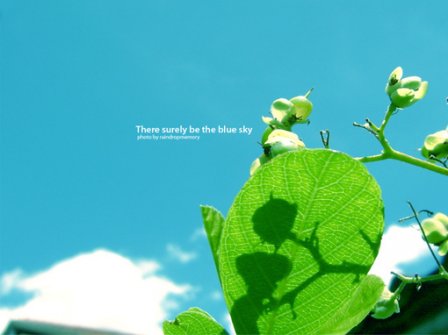 霸气拉风的女生个性签名