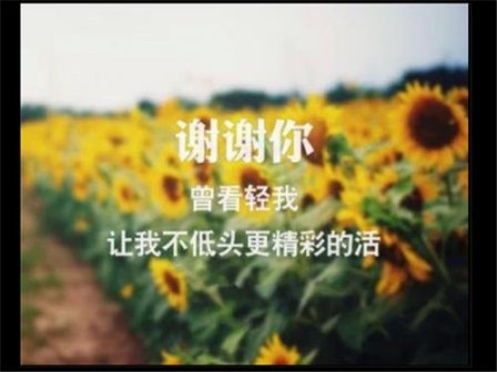 句句刺骨的伤感签名