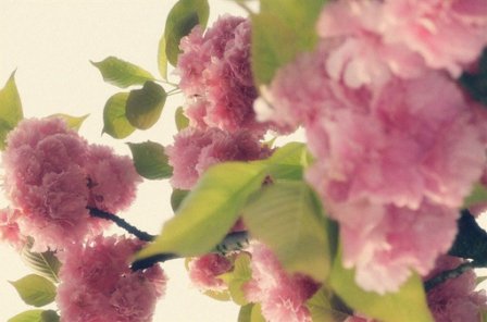 情侣吵架的个性签名