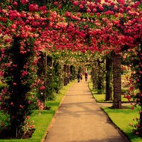 有意义的风景微信头像