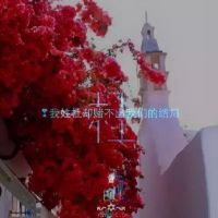 姓氏伤感文字头像女生