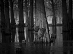 关于暗恋的伤感个性签名_暗恋是一种永不发芽的