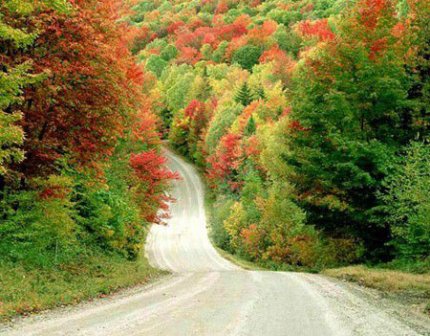 霸气女生的个性签名