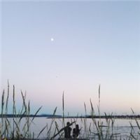 唯美伤感男生背影头像