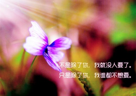 心碎校园伤感个性签名