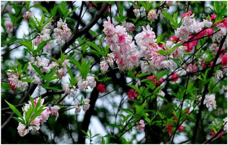 个性阳光的qq个性签名