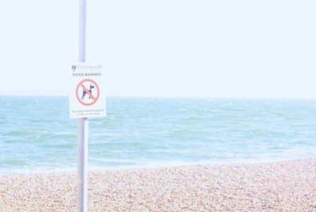 个性阳光的qq个性签名