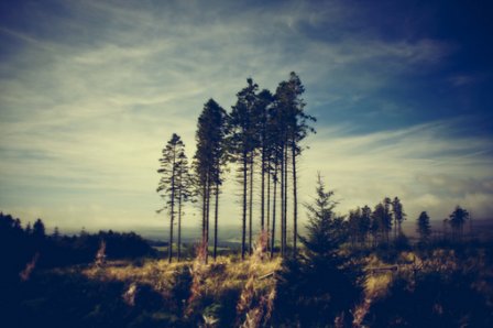 最热门的励志个性签名