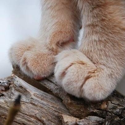 非主流阳光女生个性签名